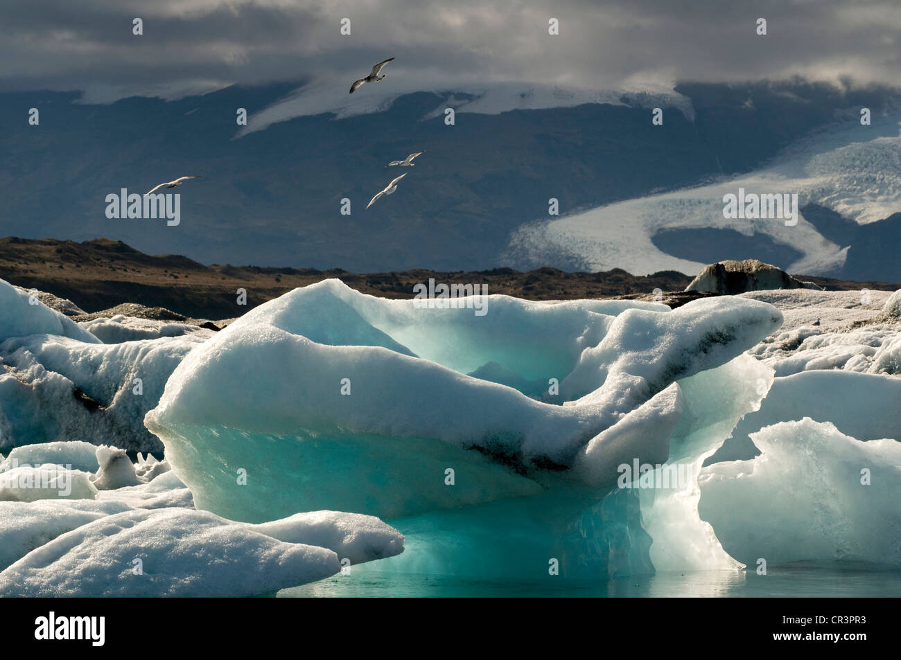 Joekulsarlon laguna glacial, en el suroeste de Islandia, Escandinavia, Europa Foto de stock