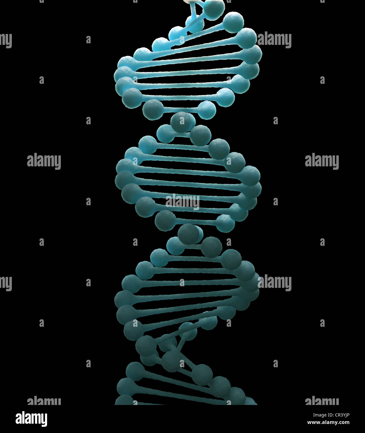 Doble hélice de ADN simplificado modelo strand Fotografía de stock - Alamy