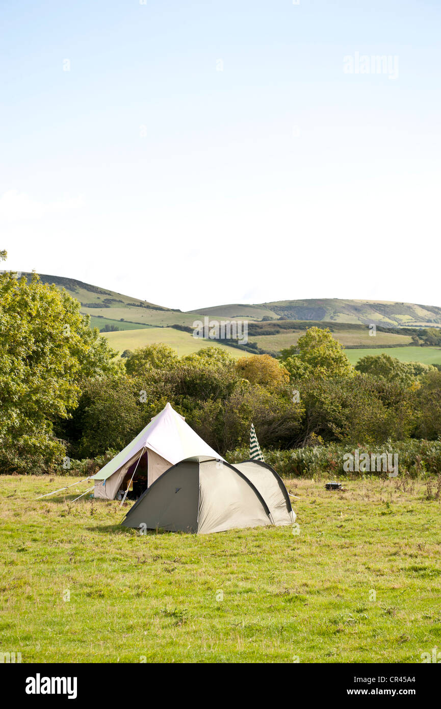 Tiendas de campaña en el campamento de Purbeck sitio, Dorset Foto de stock