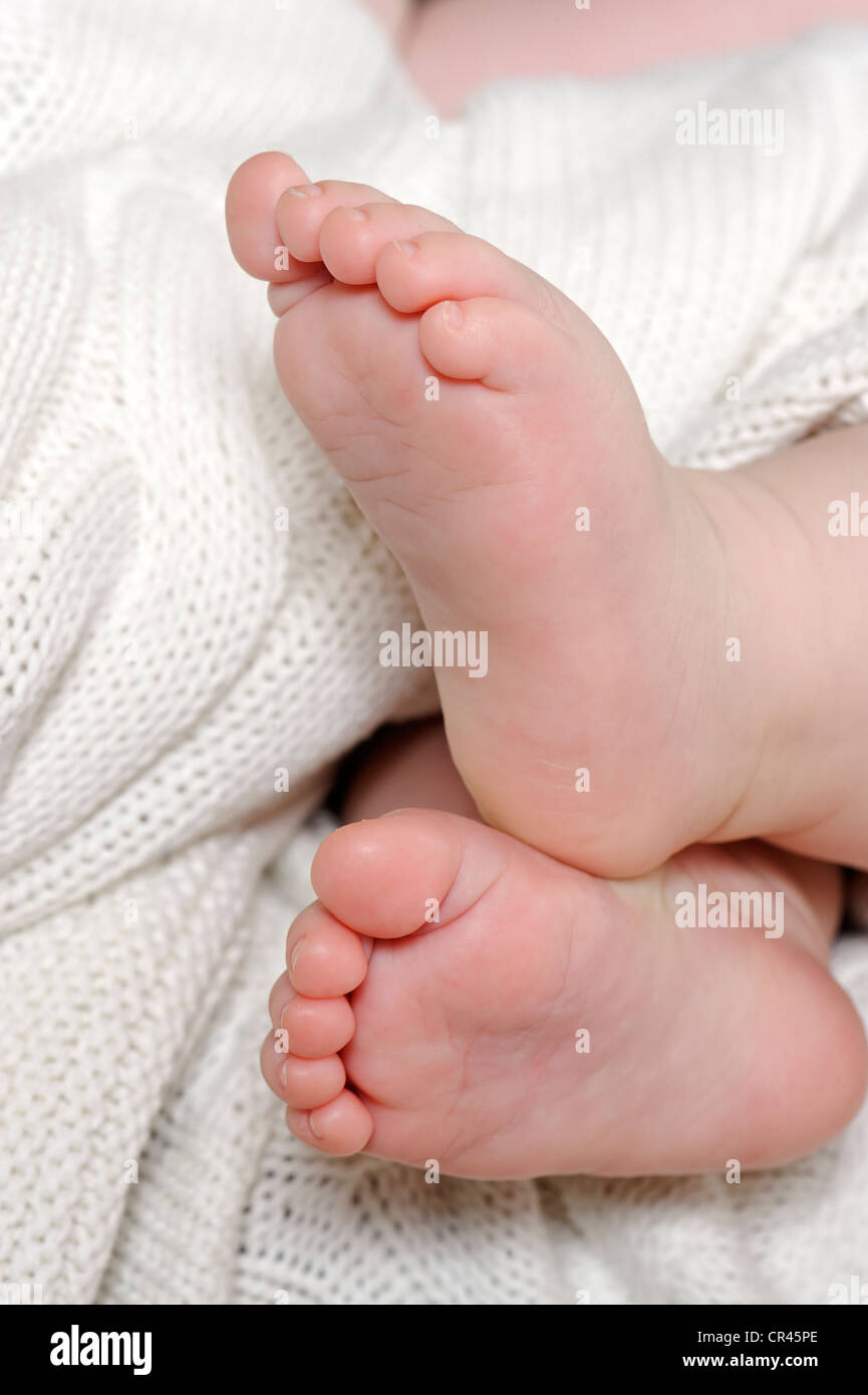 Los pies de un bebé de 6 meses Fotografía de stock - Alamy