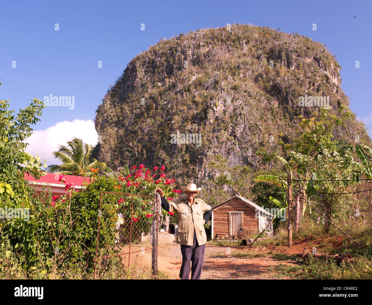 Colono cubano en la provincia de tabaco de Pinar del Río en frente de su casa, una montaña de piedra caliza en la espalda, Pinar Del Rio, Cuba. Foto de stock