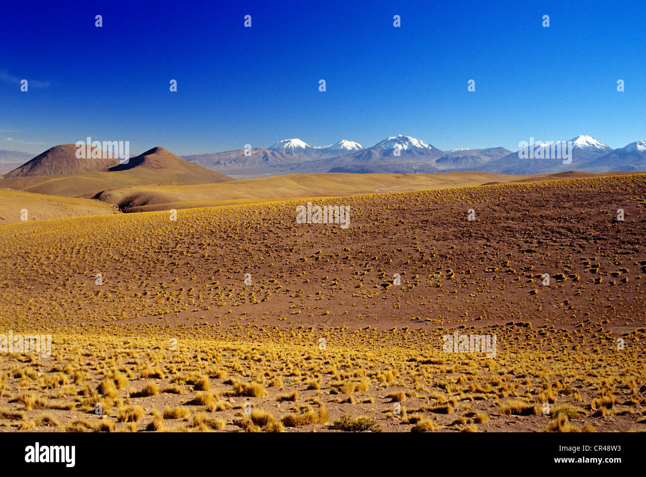 Chile, Región de Antofagasta, provincia de El Loa, Sur Lipez cadena de