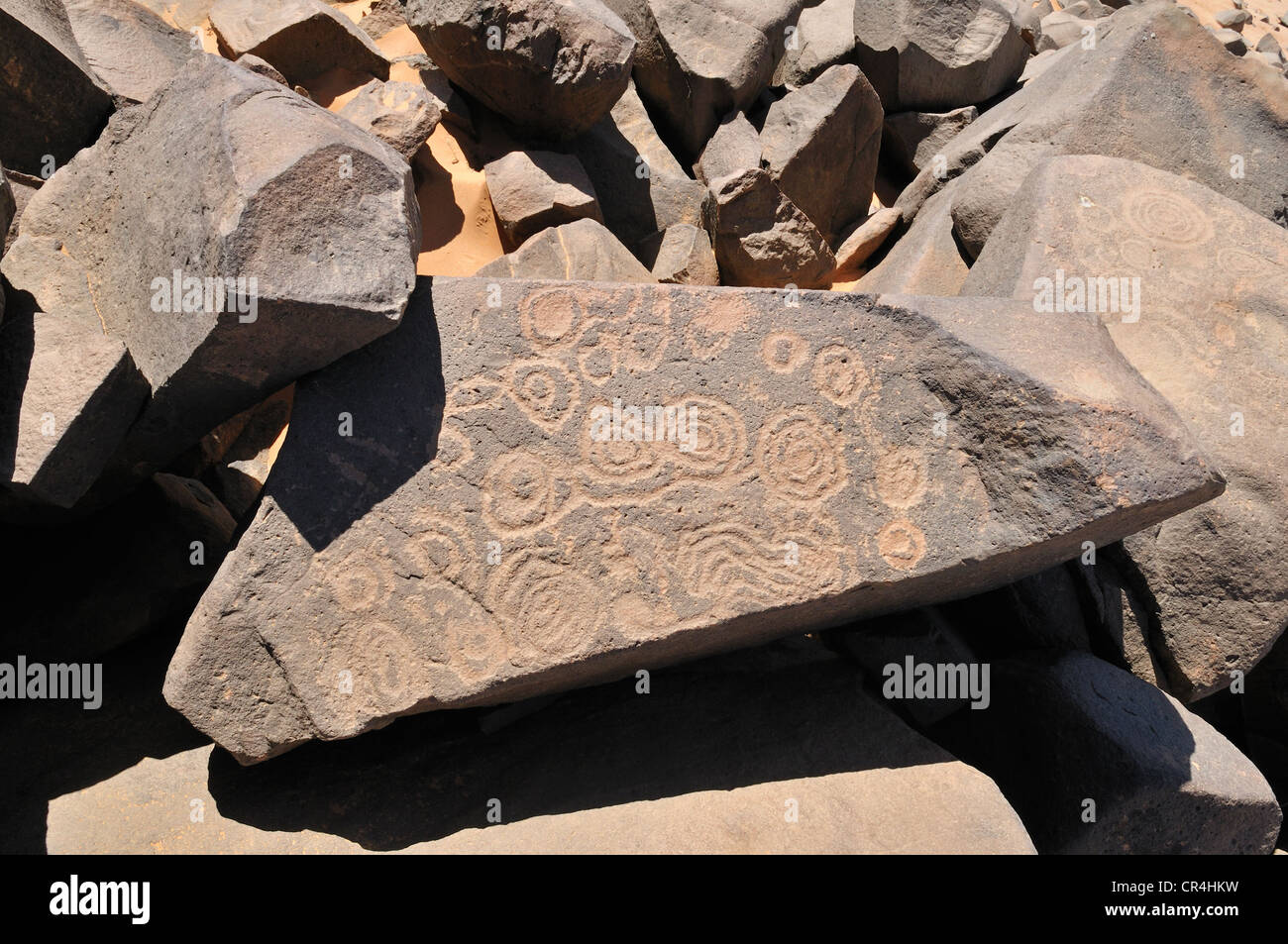 El arte rupestre del Neolítico, Bull grabado, del Tadrart, Tassili n'Ajjer Parque Nacional, Sitio del Patrimonio Mundial de la Unesco, Argelia, el Sahara Foto de stock