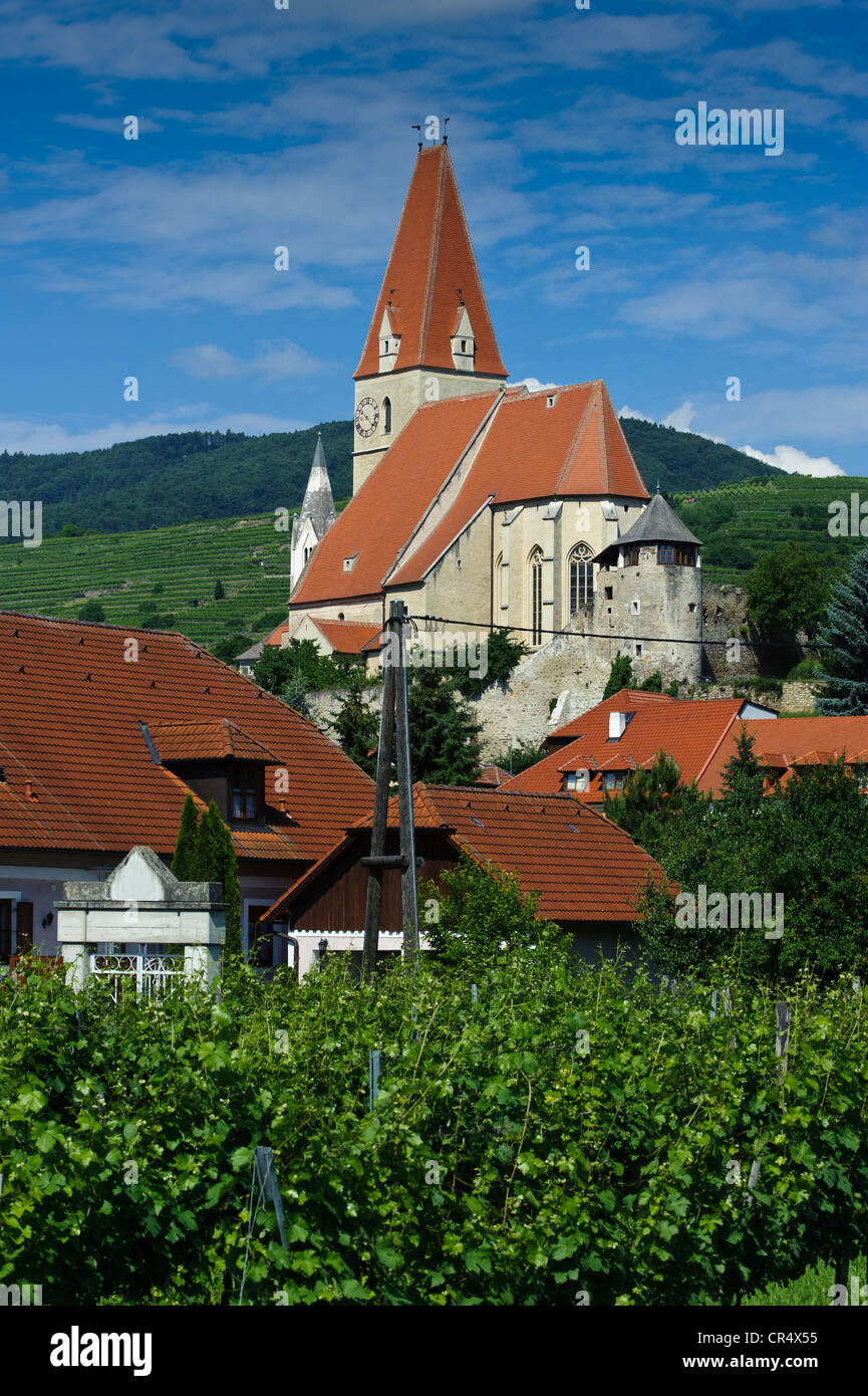 Iglesia fortificada, Weissenkirchen, valle de Wachau, Baja Austria, Austria, Europa Foto de stock