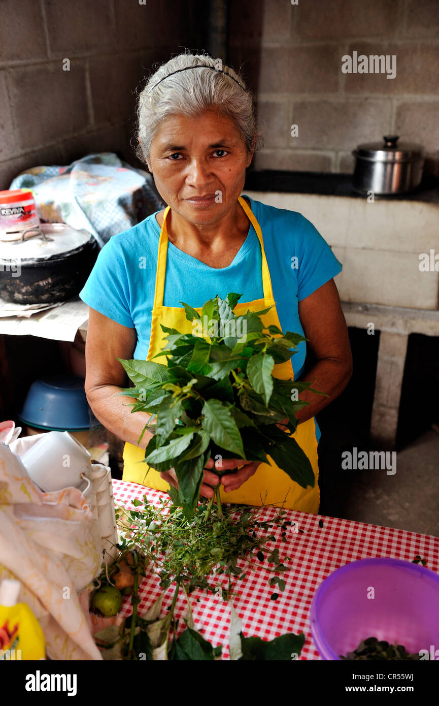 Cook hembra con un manojo de hierbas para cocinar una sopa de pollo, comunidad de Cerro Verde, El Salvador, América Central Foto de stock