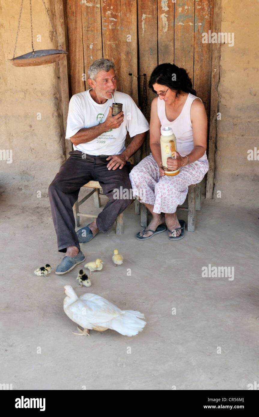 Los agricultores Mate, la bebida nacional de Argentina, en frente de una casa, puesto La Guascha, Gran Chaco, Salta, Argentina. Foto de stock