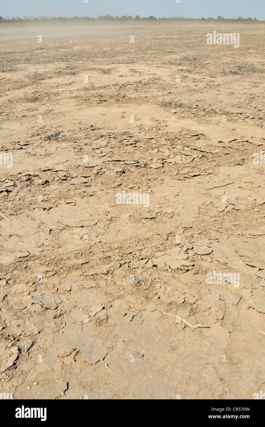 La erosión de los suelos ricos en nutrientes, están siendo barridos por el viento de las zonas despejadas, región, provincia del Gran Chaco, Argentina Foto de stock