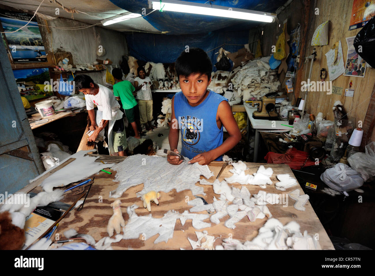 Trabajo infantil, niño producir juguetes suaves y alfombras de piel de alpaca en un pequeño negocio familiar, Pachamac, Lima, Perú. Foto de stock