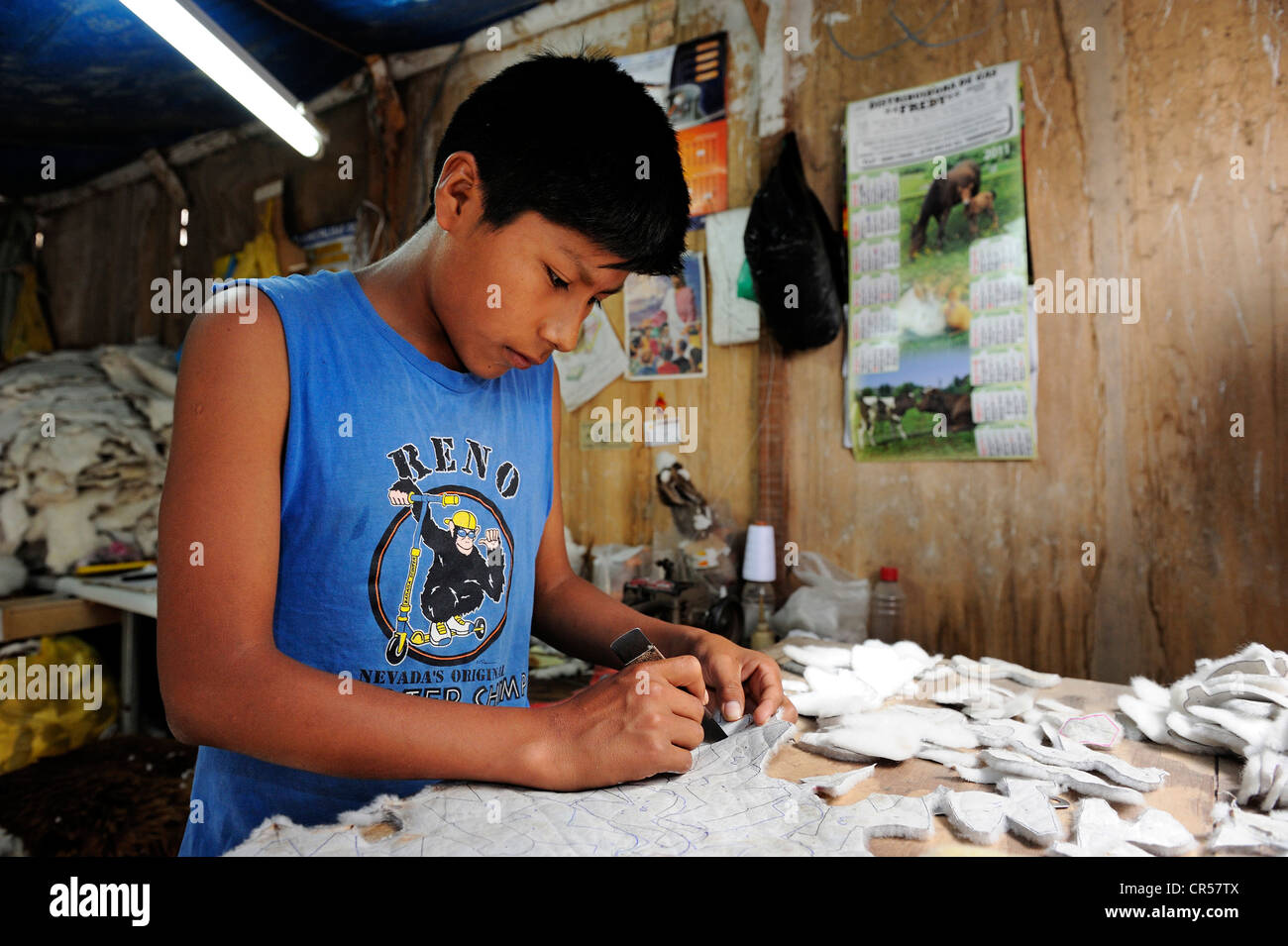 Trabajo infantil, niño producir juguetes suaves y alfombras de piel de alpaca en un pequeño negocio familiar, Pachamac, Lima, Perú. Foto de stock