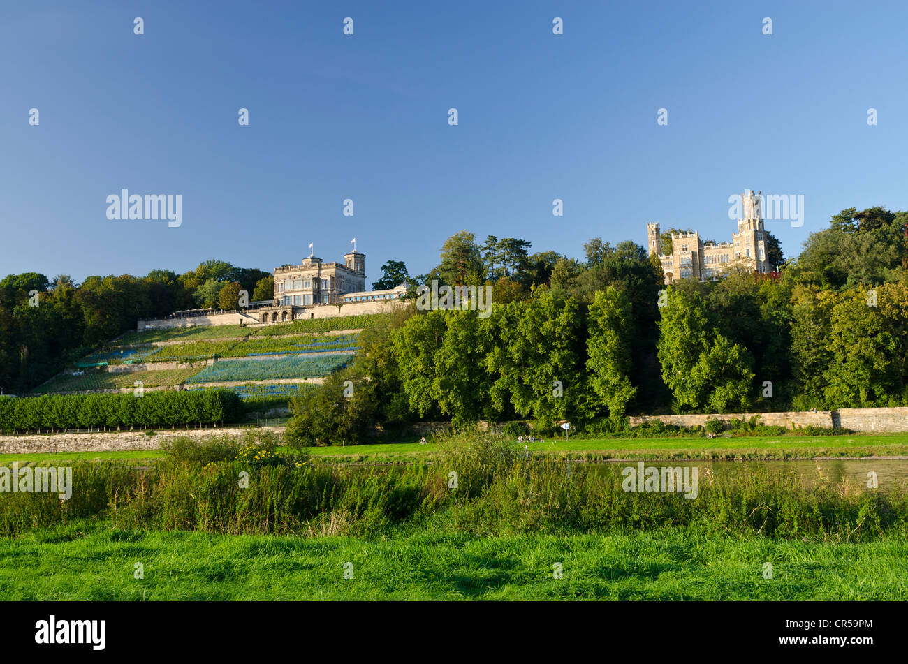 Y Schloss Eckberg Lingnerschloss castillos con vistas al valle del río Elba, Dresde, Sajonia, Alemania, Europa Foto de stock