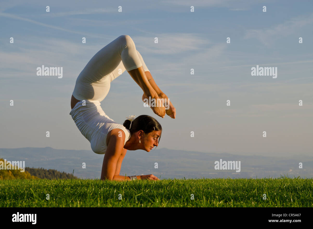 Hatha Yoga Scorpion Pose Hatha Yoga Scorpion Pose