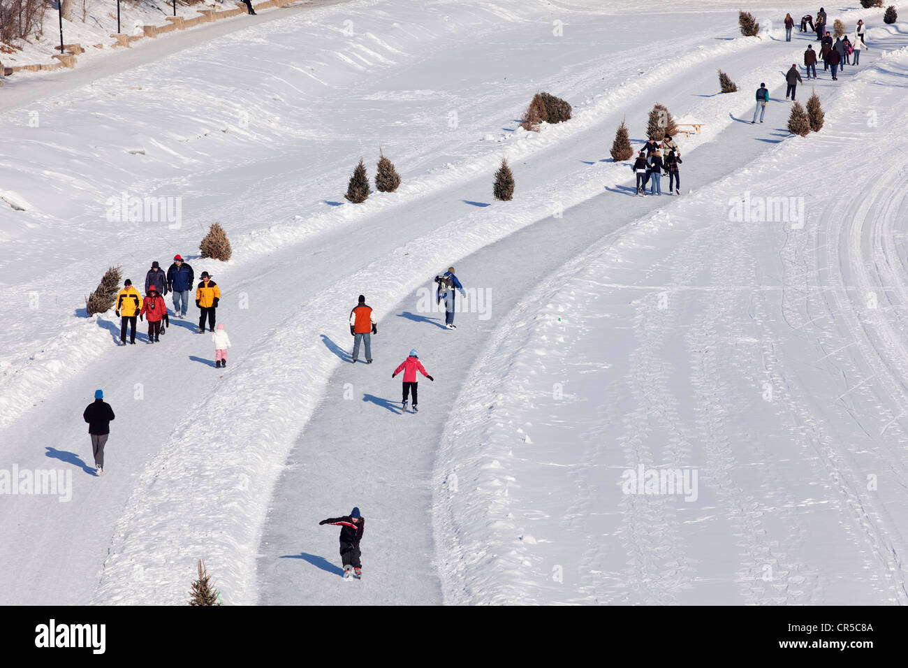 Canadá, la provincia de Manitoba, Winnipeg, las horquillas, pista de patinaje sobre hielo en el Río Rojo del Norte congelada en invierno, los patinadores Foto de stock