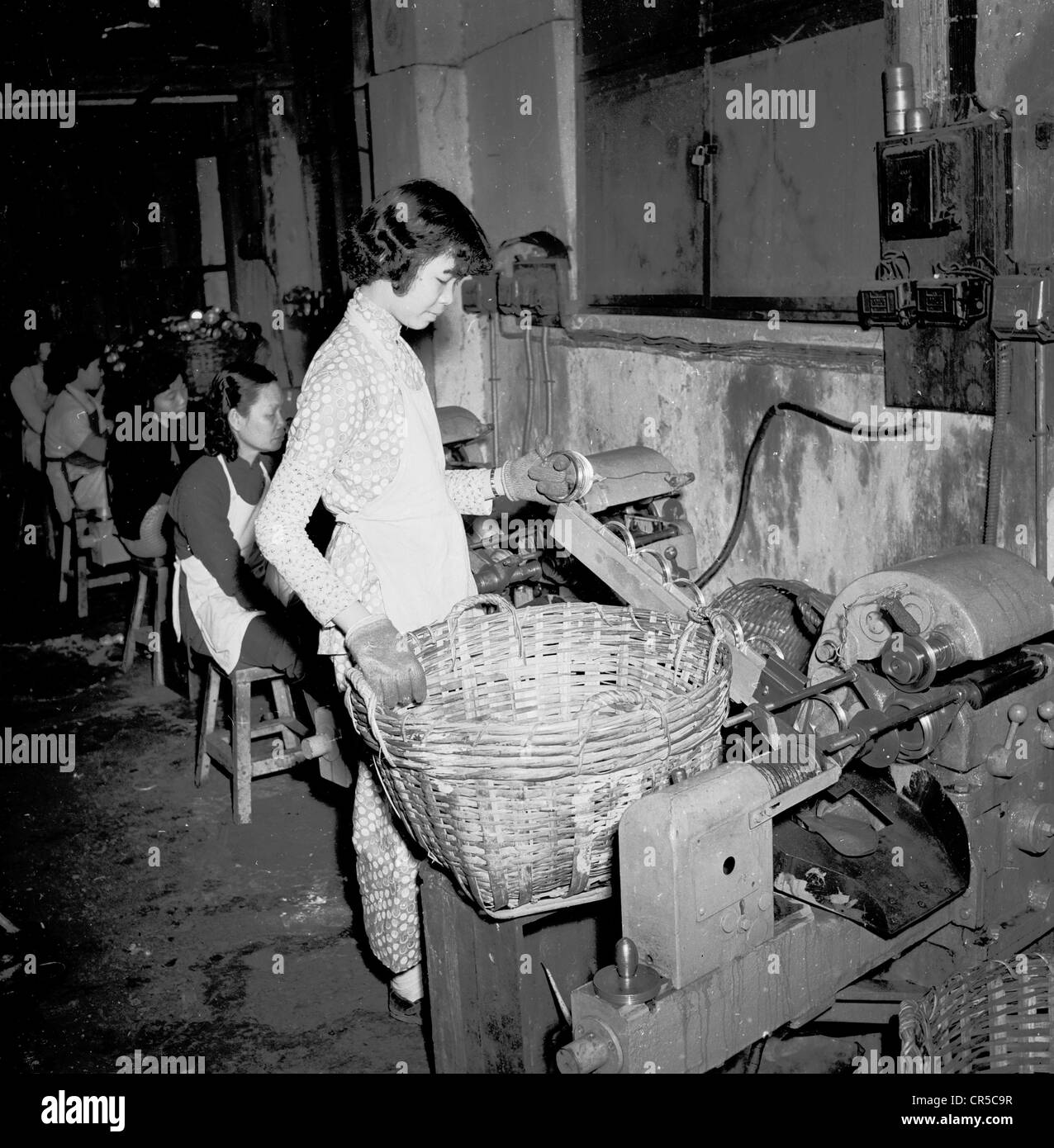 Hong Kong,1950s, una joven trabajadora china que lleva guantes de goma de pie sosteniendo una gran cesta de mimbre por maquinaria de bajo nivel en una pequeña fábrica del centro de la ciudad, trabajando junto con otra mano de obra femenina asiática. La ética de trabajo y el espíritu emprendedor de los chinos de hong kong experimentaron un increíble crecimiento de la manufactura en pequeña escala en los años de posguerra, con un número estimado de empresas manufactureras en pequeña escala para el 1990s, que ascendía a unos 23.000. Comúnmente conocidas como 'fábricas planas', normalmente empleaban a 10 personas o menos y estaban ubicadas en sótanos o en los primeros pisos de edificios altos. Foto de stock