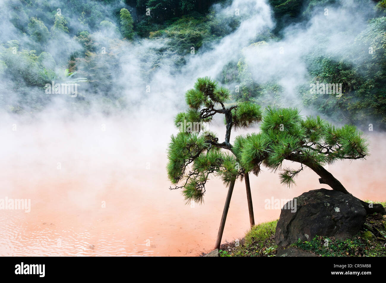 La Isla de Kyushu, Japón, ciudad de Beppu, famoso por sus aguas termales (onsen), el Chinoike jigoku Primavera, el infierno del Estanque de Sangre Foto de stock