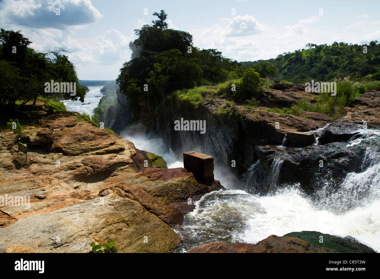 Parque Nacional de Murchison Falls, en el norte de Uganda, África Foto de stock