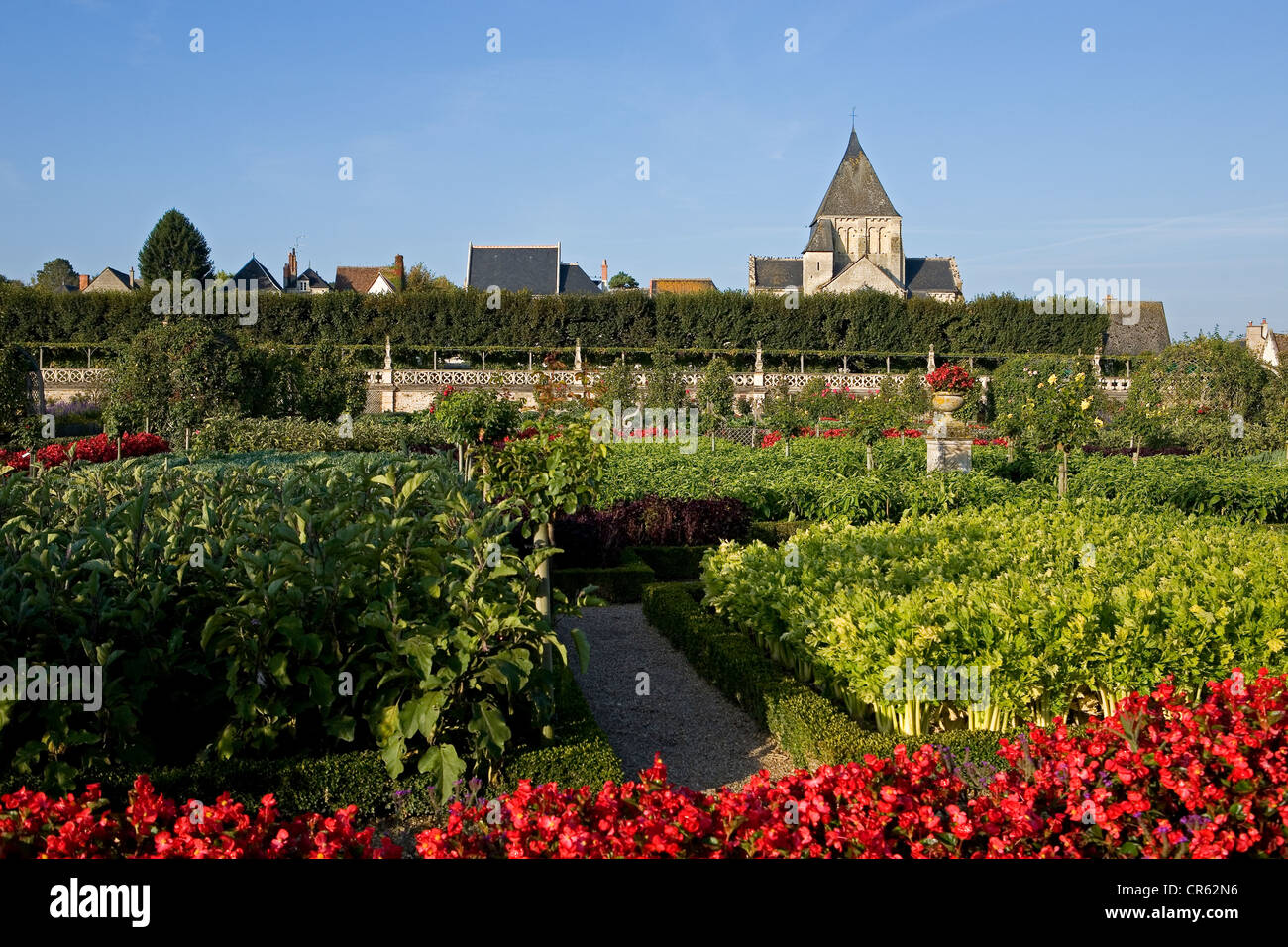 Francia, Indre et Loire, Patrimonio Mundial de la UNESCO, el Valle del Loira, el château de Villandry, el castillo y los jardines, propiedad de Henry Foto de stock