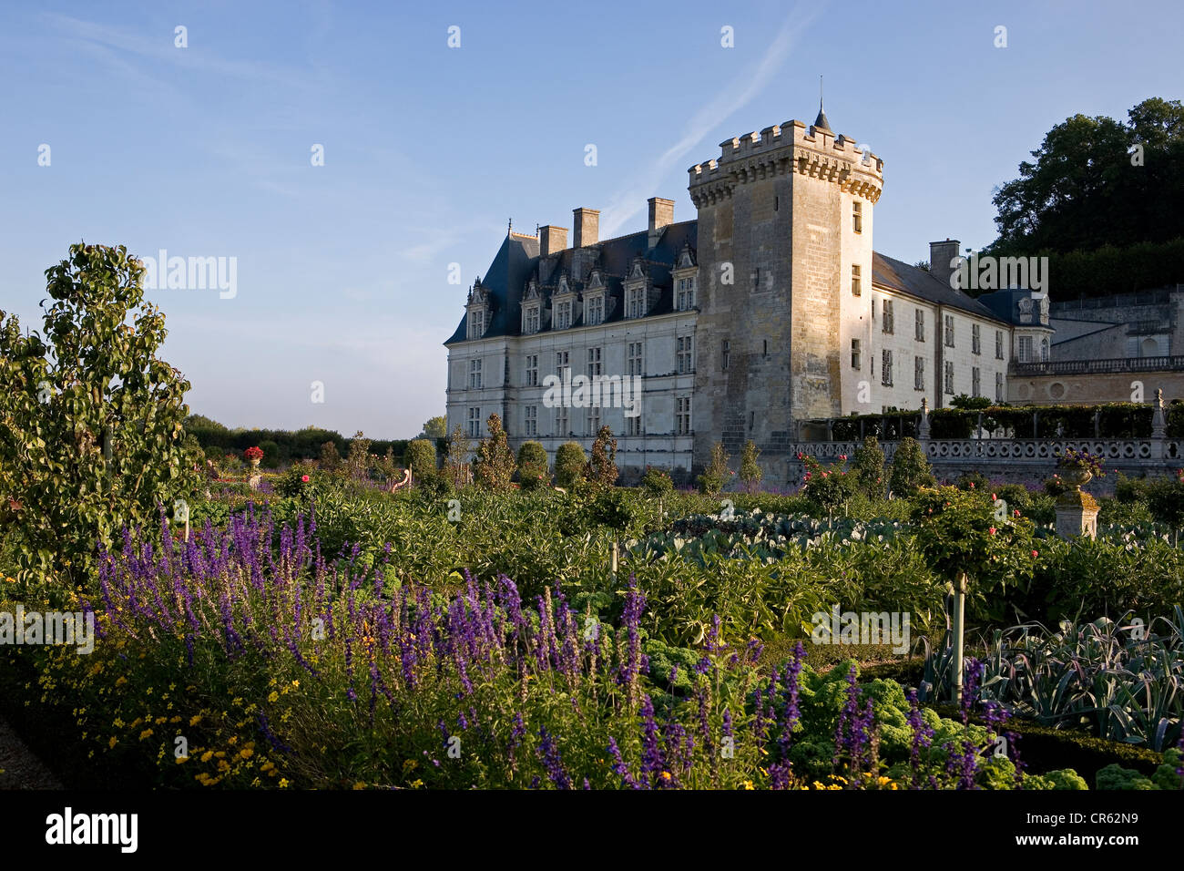 Francia, Indre et Loire, Patrimonio Mundial de la UNESCO, el Valle del Loira, el château de Villandry, el castillo y los jardines, propiedad de Henry Foto de stock