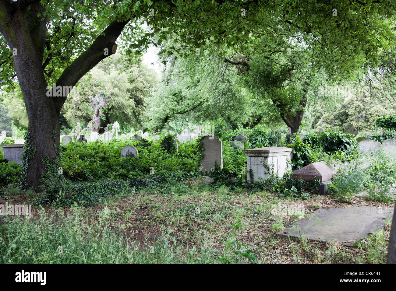 Cementerios de westminster fotografías e imágenes de alta resolución