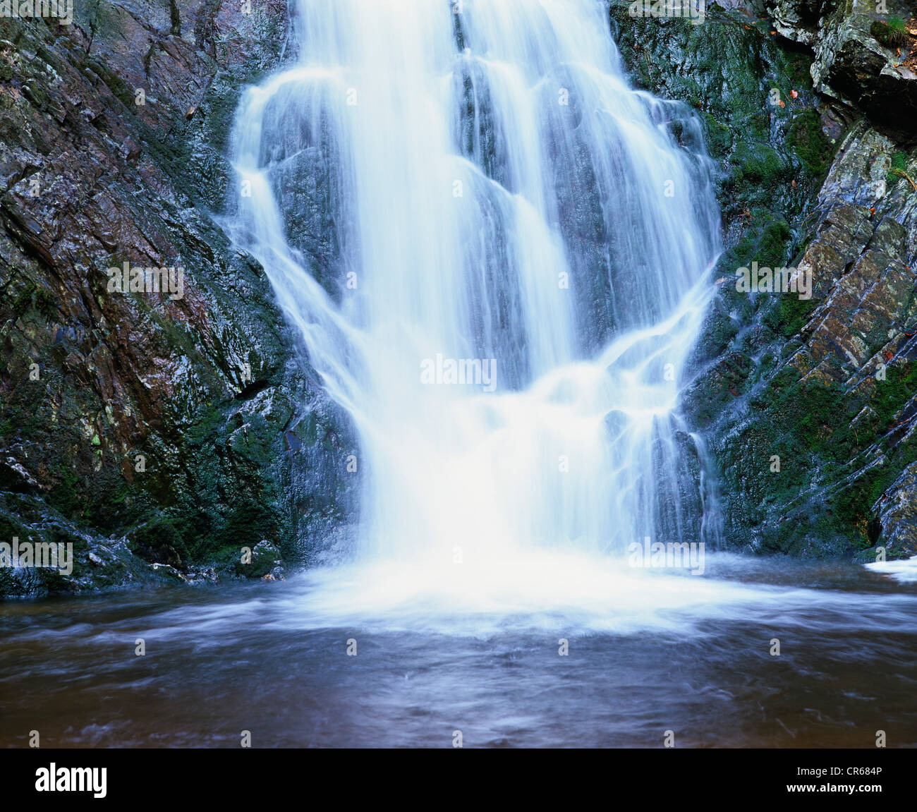 Agua, el arroyo que fluye sobre las rocas en una cuenca natural, Parque Natural de Eifel, Hohes Venn, Bélgica, Europa Foto de stock