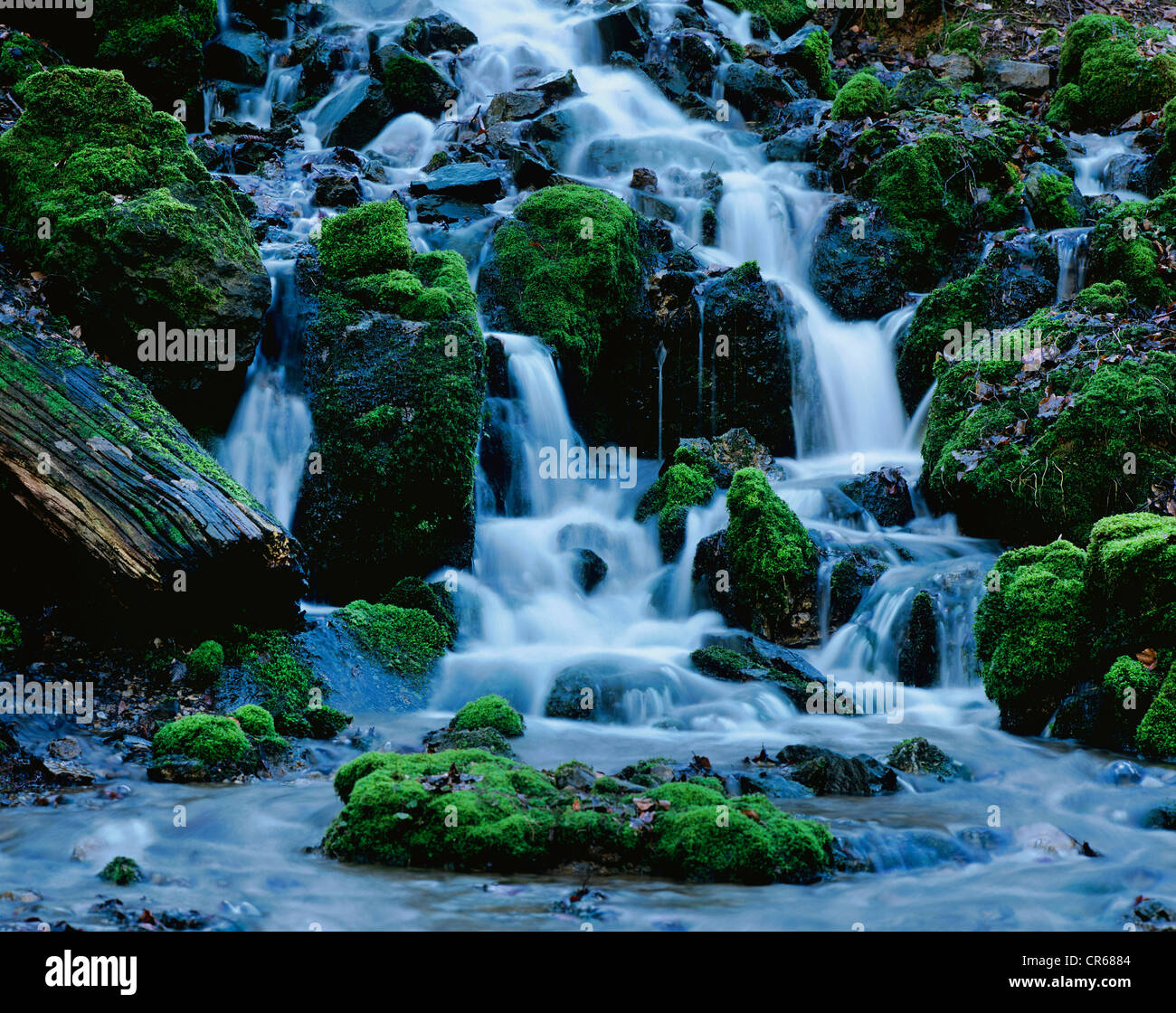 Cascada en un bosque de montaña, torrente, torrente Glasbach, Renania del Norte-Westfalia, Alemania, Europa Foto de stock