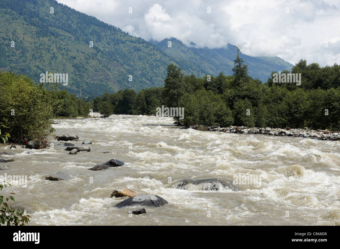 Río beas después de fuertes lluvias, entre kullu y manali, Himachal Pradesh, India Foto de stock
