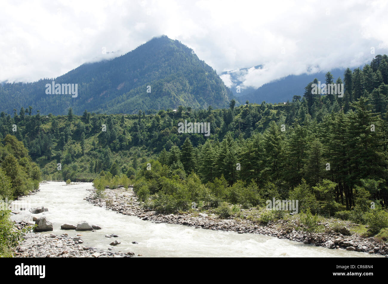 Río beas después de fuertes lluvias, entre kullu y manali, Himachal Pradesh, India Foto de stock