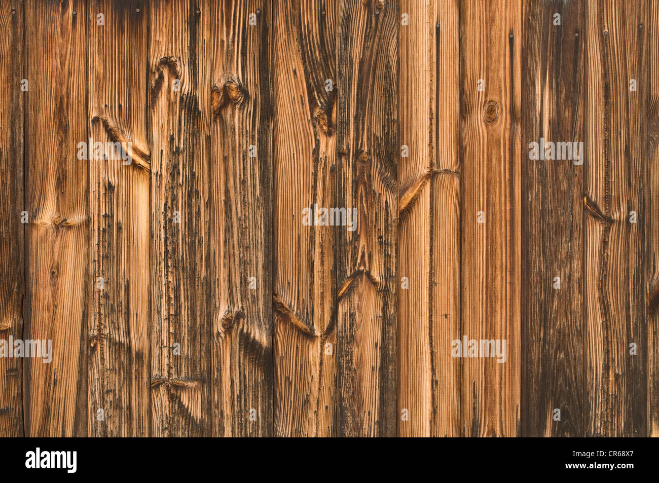 Pared de madera con el distintivo de grano, antecedentes Foto de stock