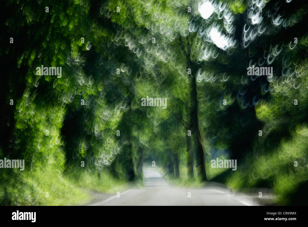 Alemania, Baviera, país por carretera a través de la arbolada, movimiento borrosa Foto de stock