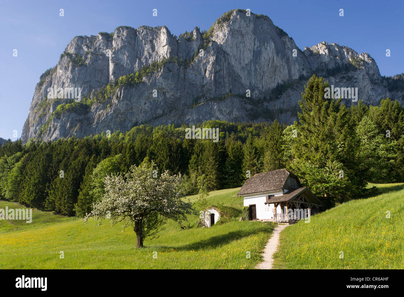 Austria, Salzkammergut, Mondseeland, Vista del molino en frente de la montaña Drachenwand Foto de stock