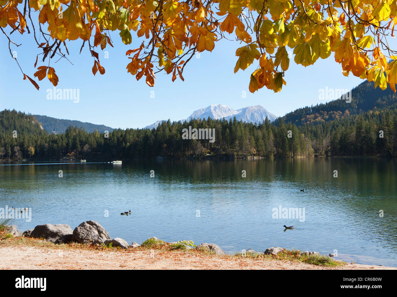 Alemania, Baviera, Ramsau, vista a las montañas con el lago Hintersee Watzmann Foto de stock