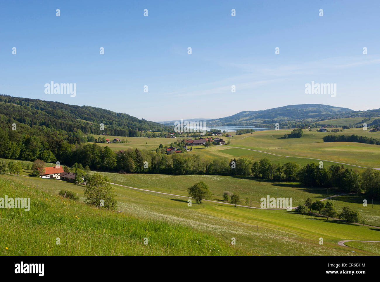 En Austria, en vista del paisaje agrícola en verano Foto de stock