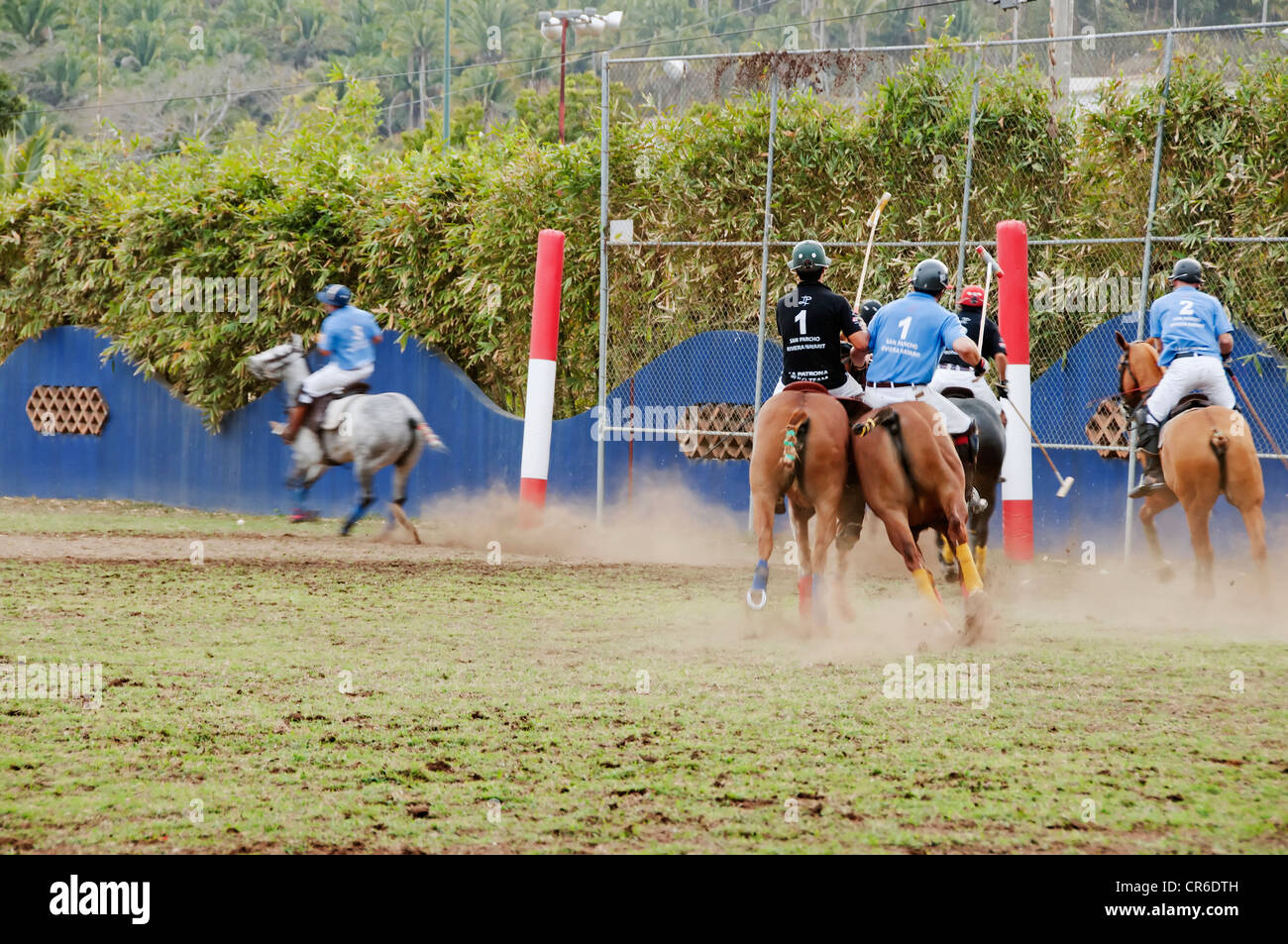 Los jinetes en su enfoque de equinos de polo los postes de la meta durante una trepidante coinciden en la Patrona Polo Club en Nayarit, México. Foto de stock