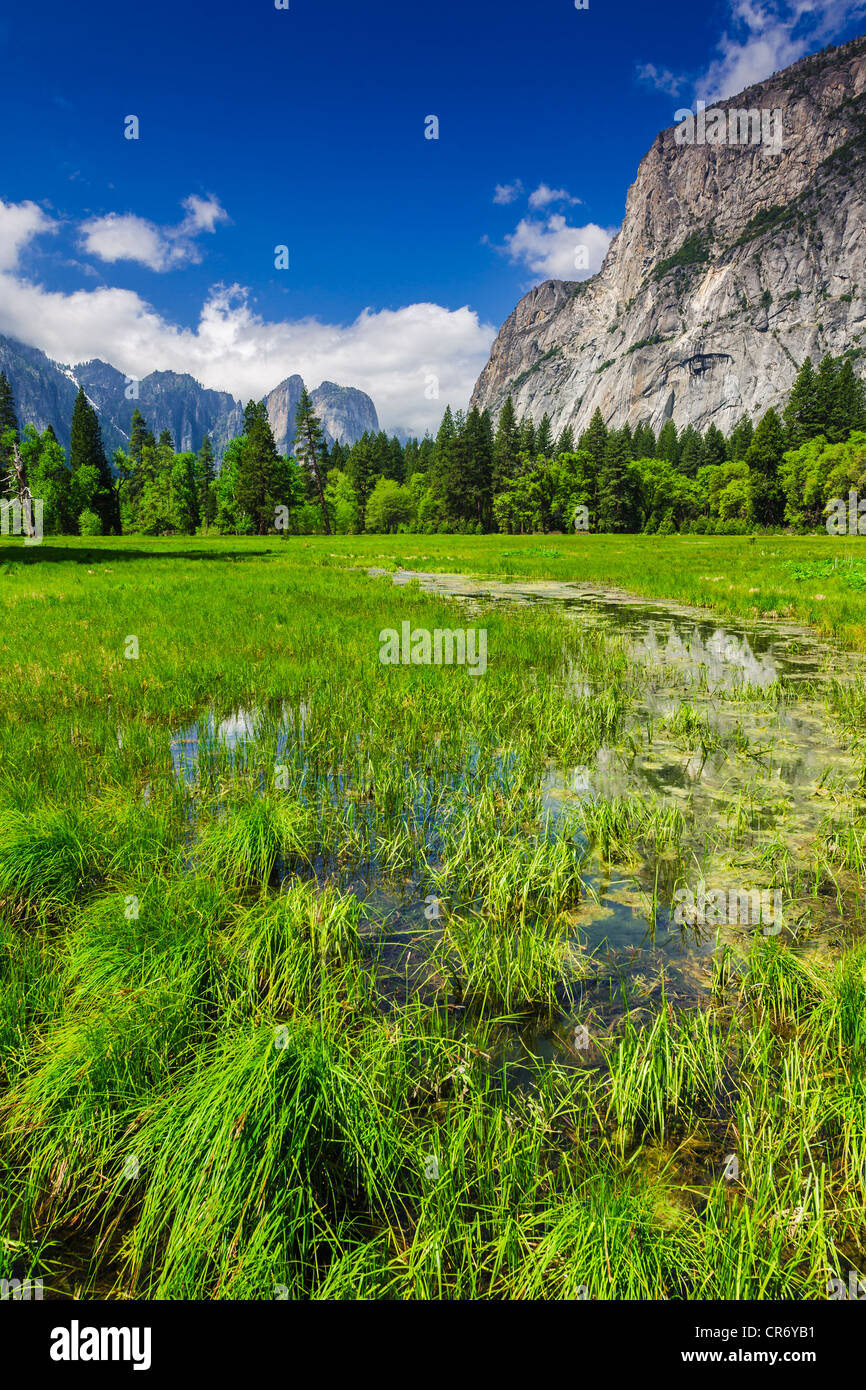La escorrentía de primavera en la pradera, valle de Yosemite, el Parque Nacional Yosemite, California, EE.UU. Foto de stock