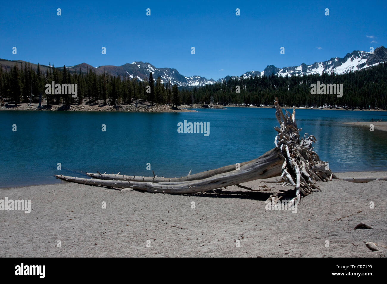 Vista panorámica del lago de herradura, cerca de Mammoth Lakes, California, EE.UU. en junio, con montañas en la distancia, tomada desde la playa Foto de stock