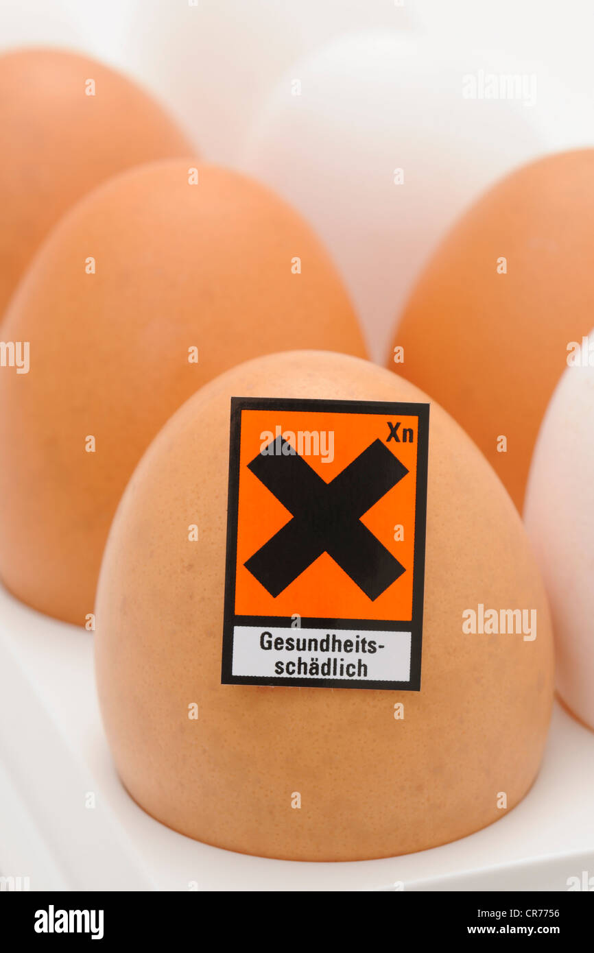 Huevos de gallina con símbolo de peligro "Gesundheitsschaedlich', alemán "nocivo para la salud", imagen simbólica para huevos contaminados Foto de stock