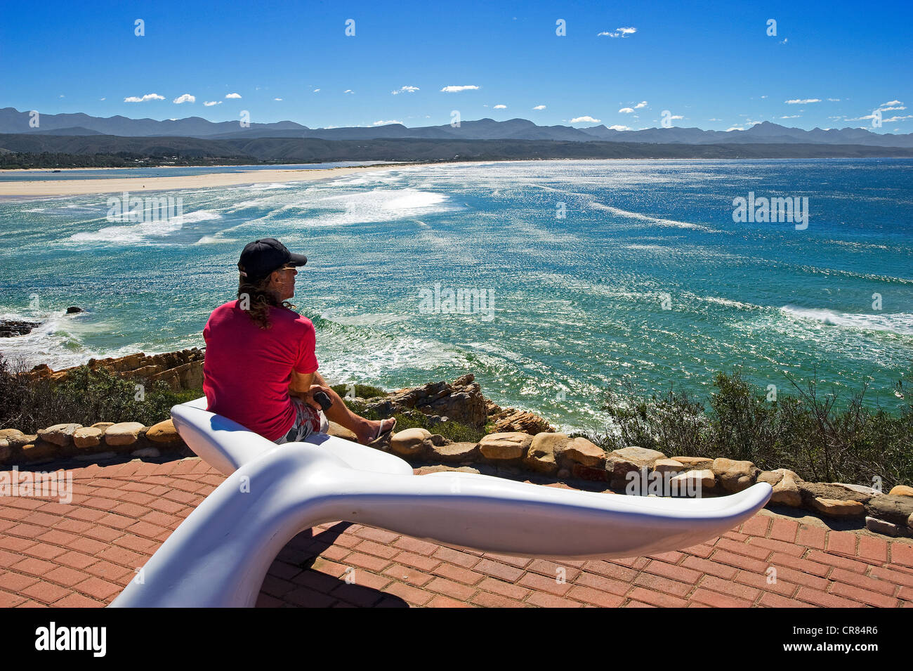 Una ballena de un cuento fotografías e imágenes de alta resolución Alamy