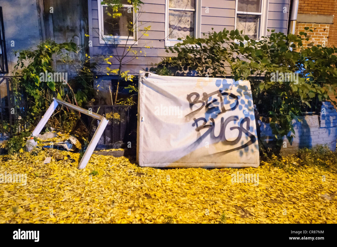 Un colchón abandonado con las palabras "chinches" pintado con spray. Brooklyn, Nueva York Foto de stock