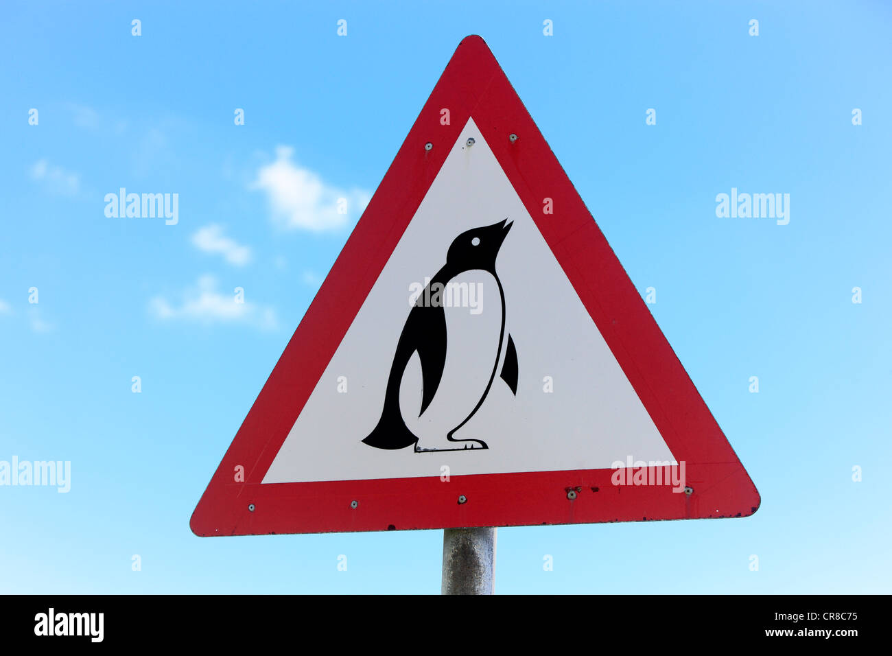 Señal de advertencia de tráfico con un pingüino, Simon's Town, Boulder, Sudáfrica, África Foto de stock