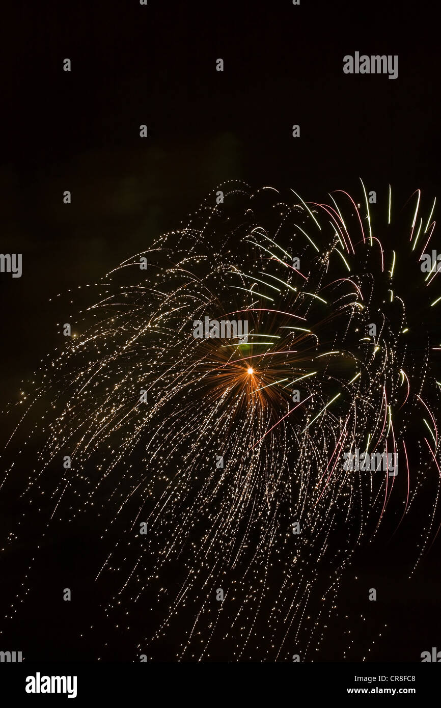 Explosión de fuegos artificiales contra el cielo nocturno Foto de stock