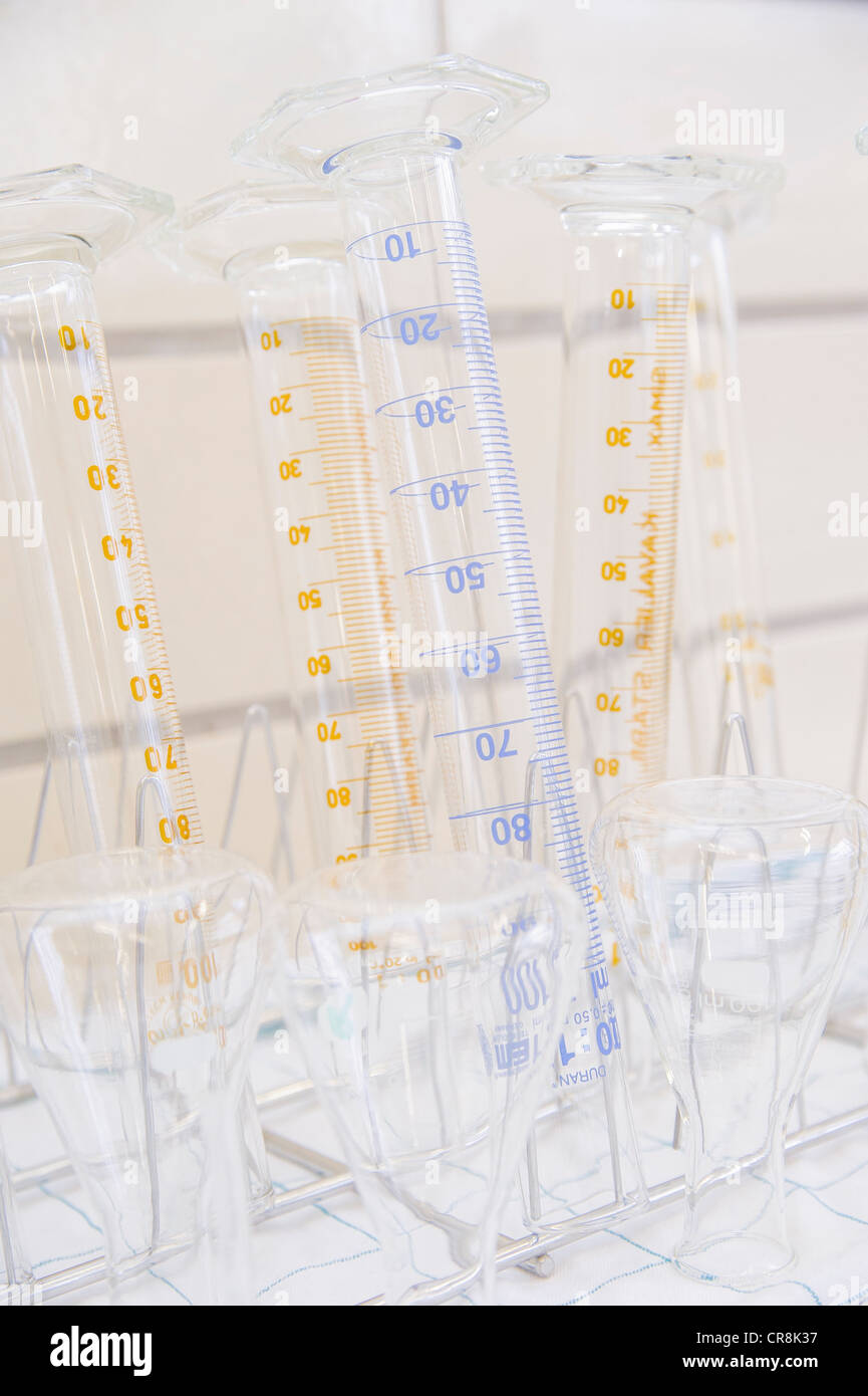 Tubos de ensayo de vidrio pyrex en laboratorio Foto de stock
