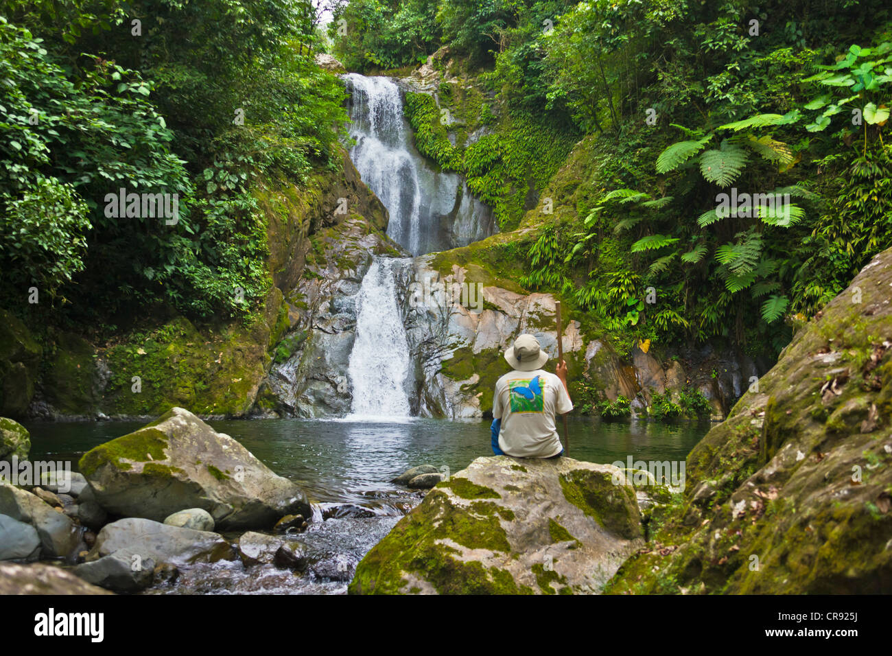 Turístico por la cascada en el bosque lluvioso, el Parque Nacional Pico Bonito, Honduras Foto de stock