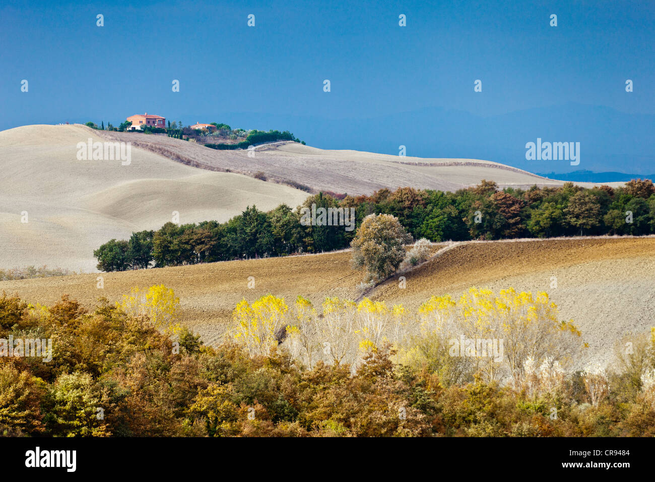 Los campos anteriores Pienza cerca de Torrita di Siena, otoño, Toscana, Italia, Europa Foto de stock
