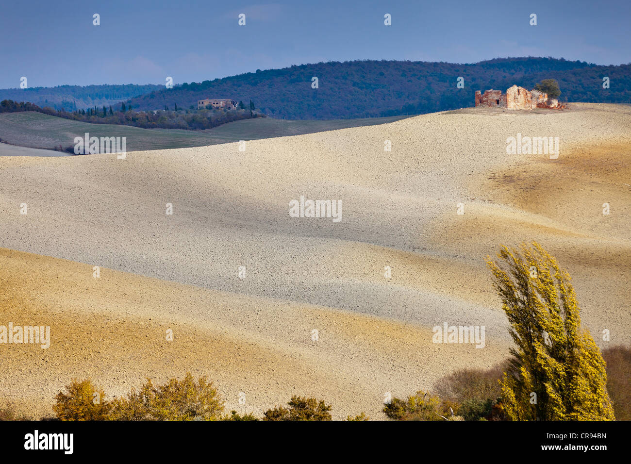 Los campos anteriores Pienza cerca de Torrita di Siena en otoño, en la Toscana, Italia, Europa Foto de stock