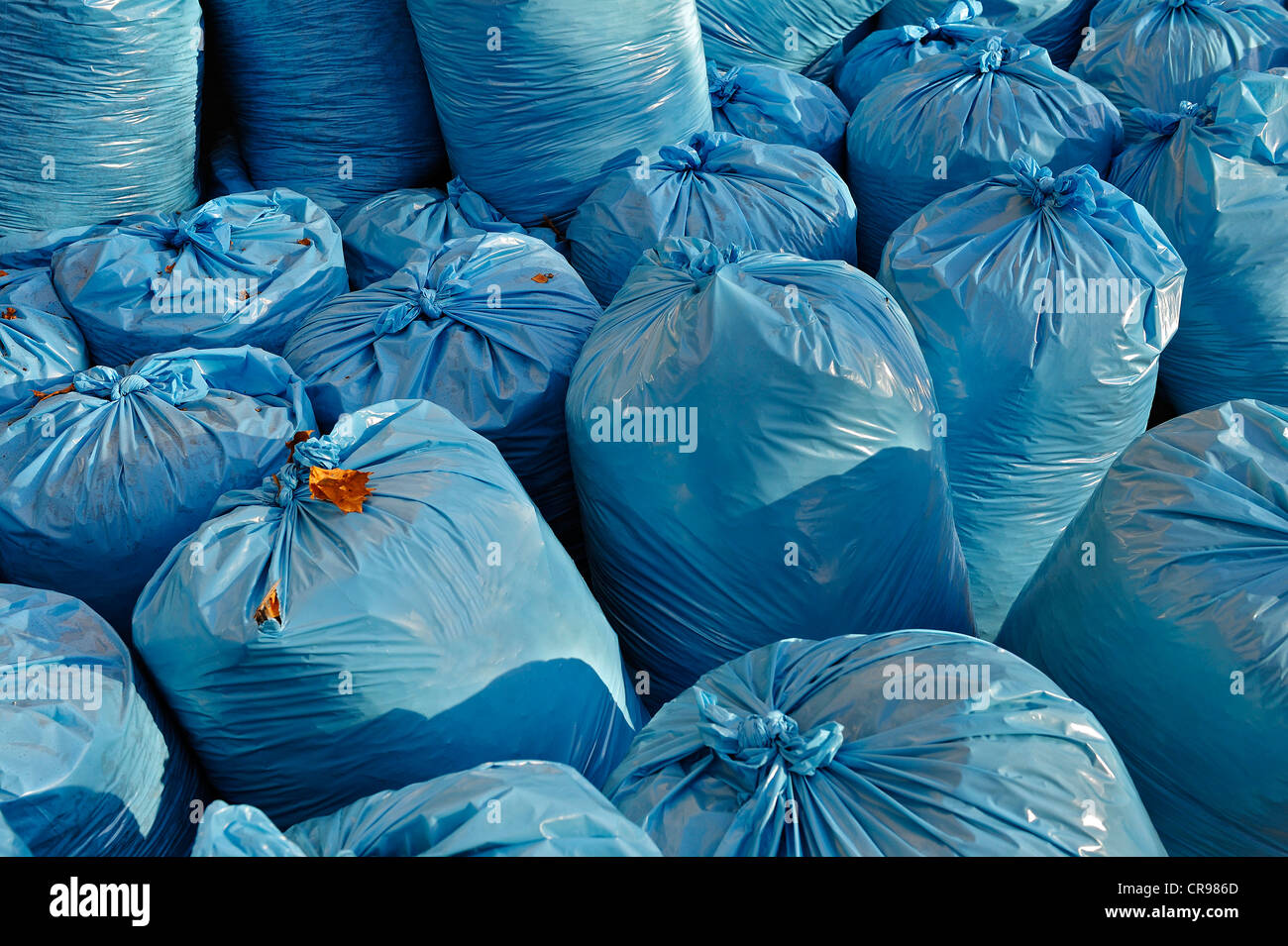 Llenaron bolsas de basura de plástico azul claro, Baviera, Alemania, Europa Foto de stock