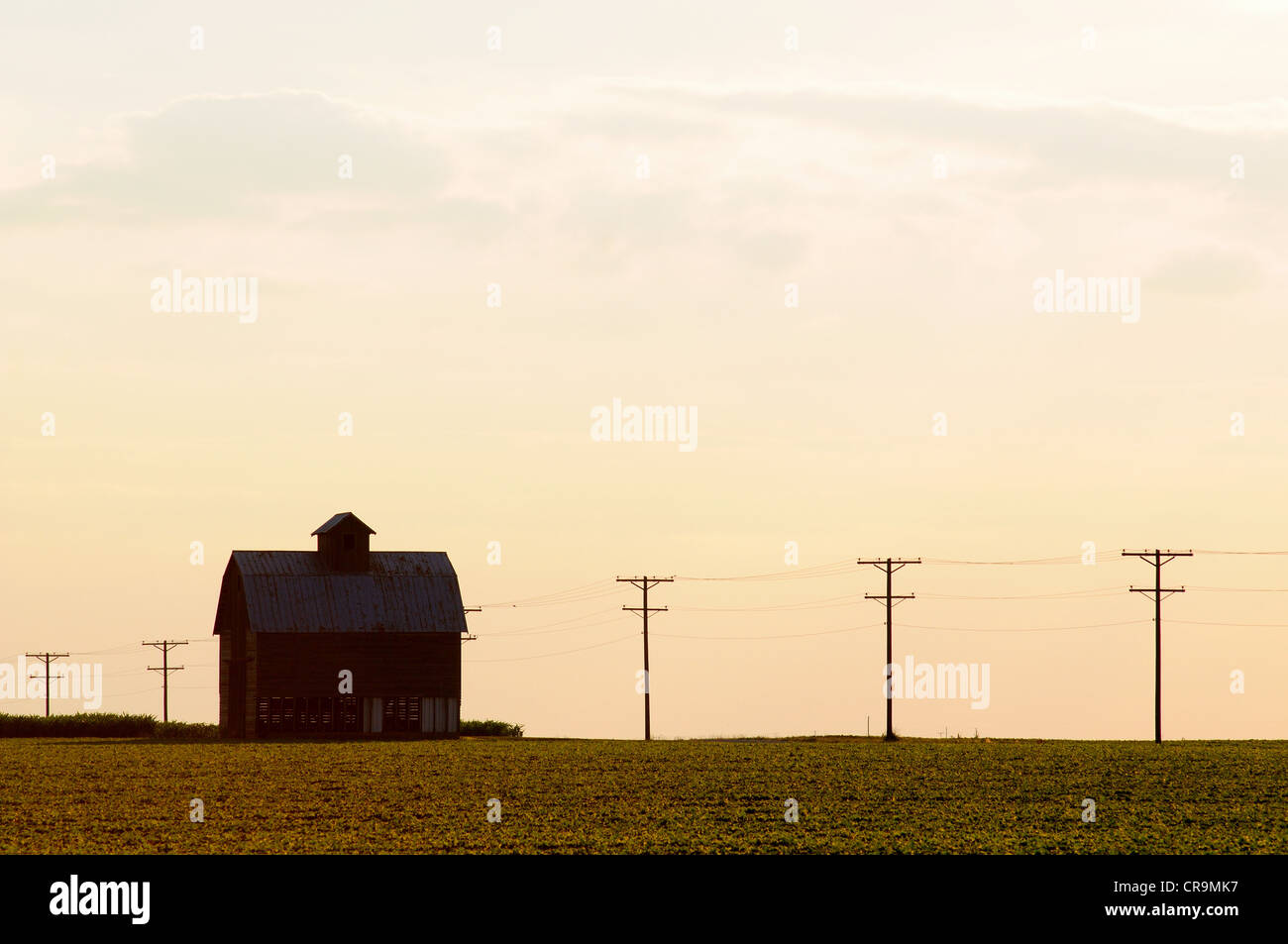 Un viejo granero se sienta en el borde de un campo de soya en Illinois, EE.UU. Foto de stock