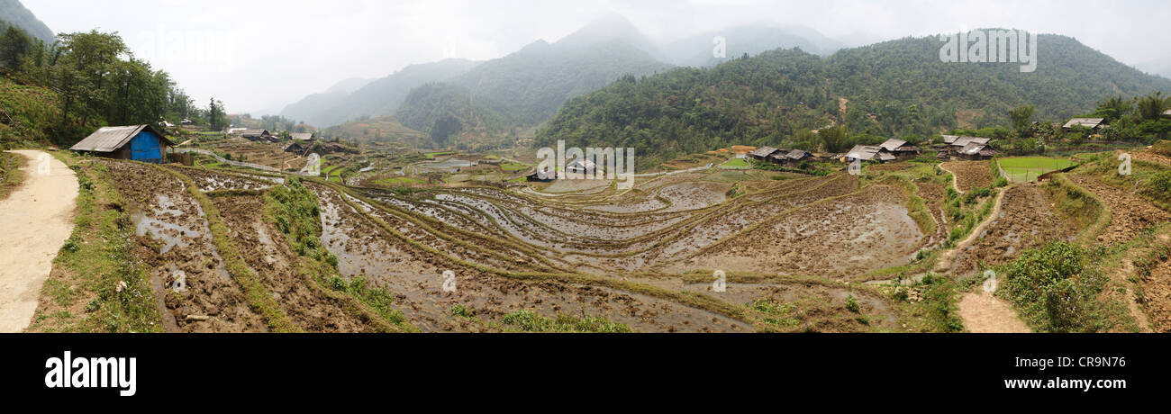 Campos de arroz en terrazas en Vietnam Sapa región. Vistas panorámicas Foto de stock