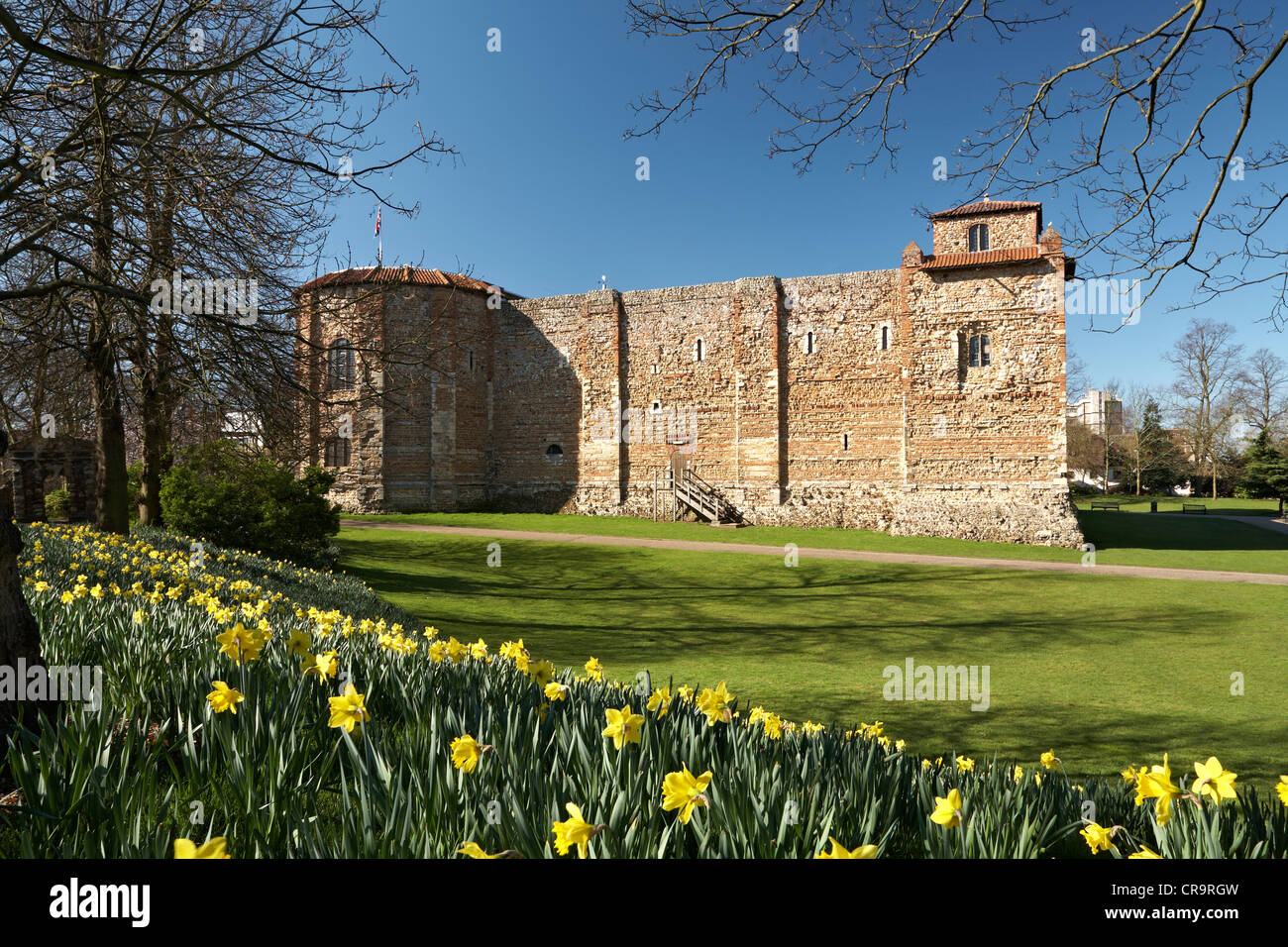 Gran Bretaña Inglaterra Essex Colchester Castle Museum Castillo Superior Park Primavera Foto de stock