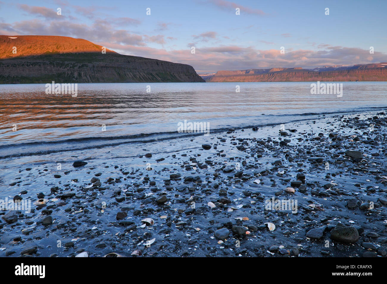 Playa con conchas de mar, mediados de verano, de noche, o Joekulfirðir Hesteyri Hesteyrarfjoerður Hornstrandir, paraíso del senderismo, Westfjords Foto de stock