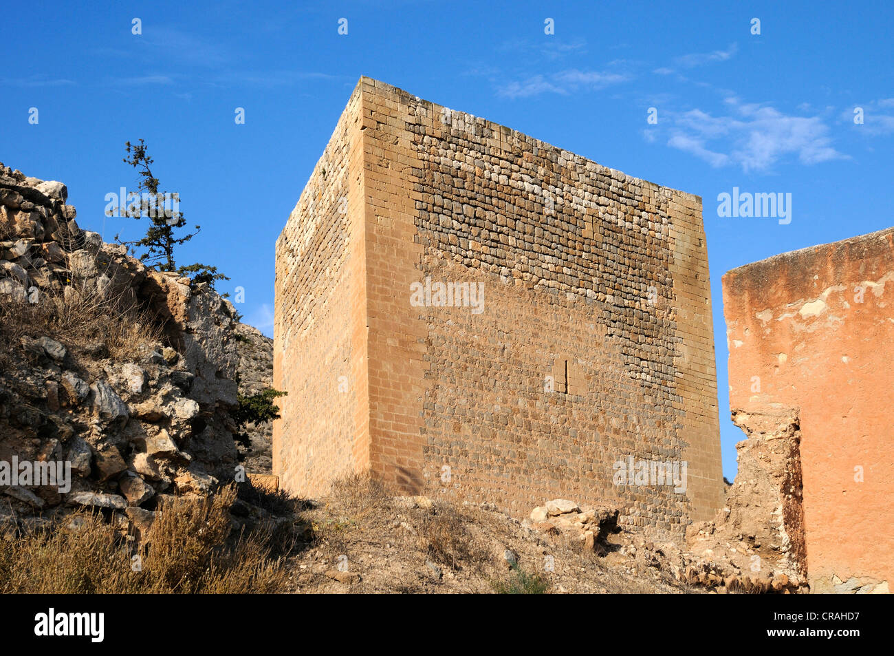 Las ruinas del castillo de La Mola, la fortaleza de la época musulmana, Novelda, Costa Blanca, España, Europa Foto de stock
