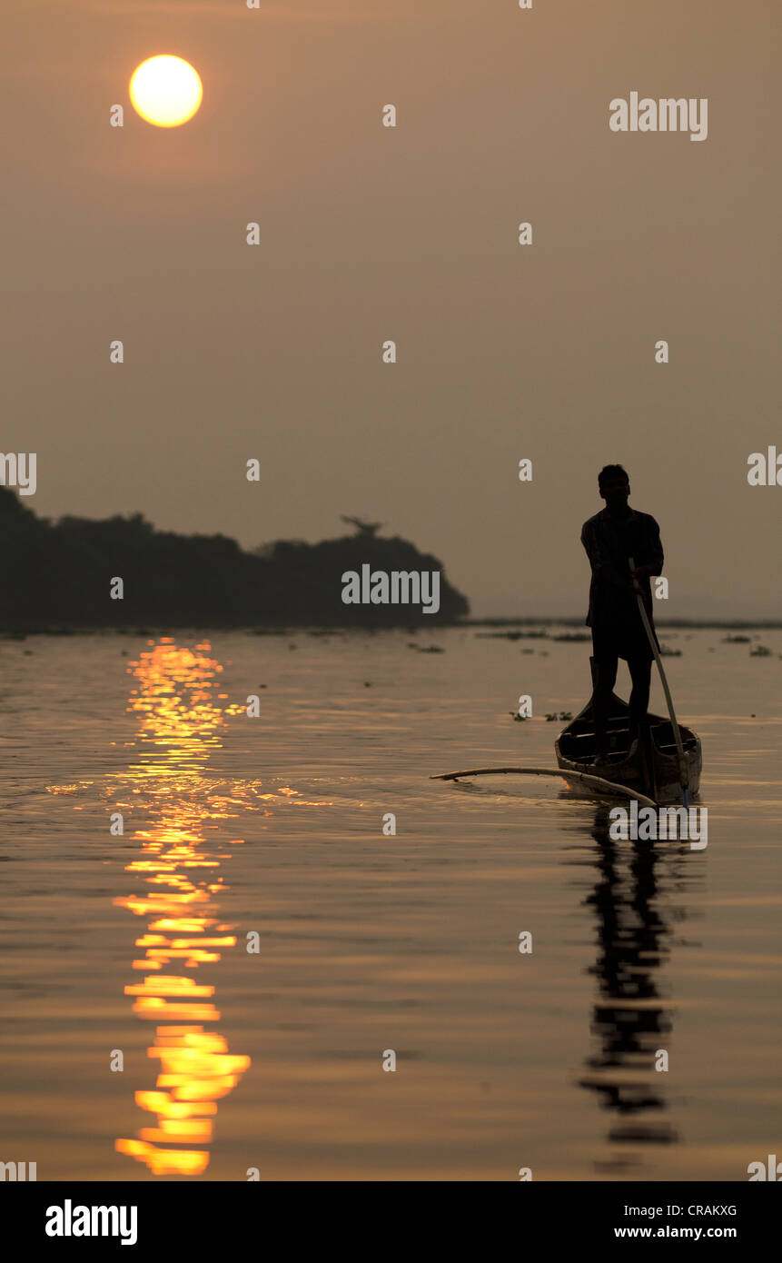 Pescador en el Lago Vembanad en Sunrise, Kerala, India del Sur, India, Asia Foto de stock